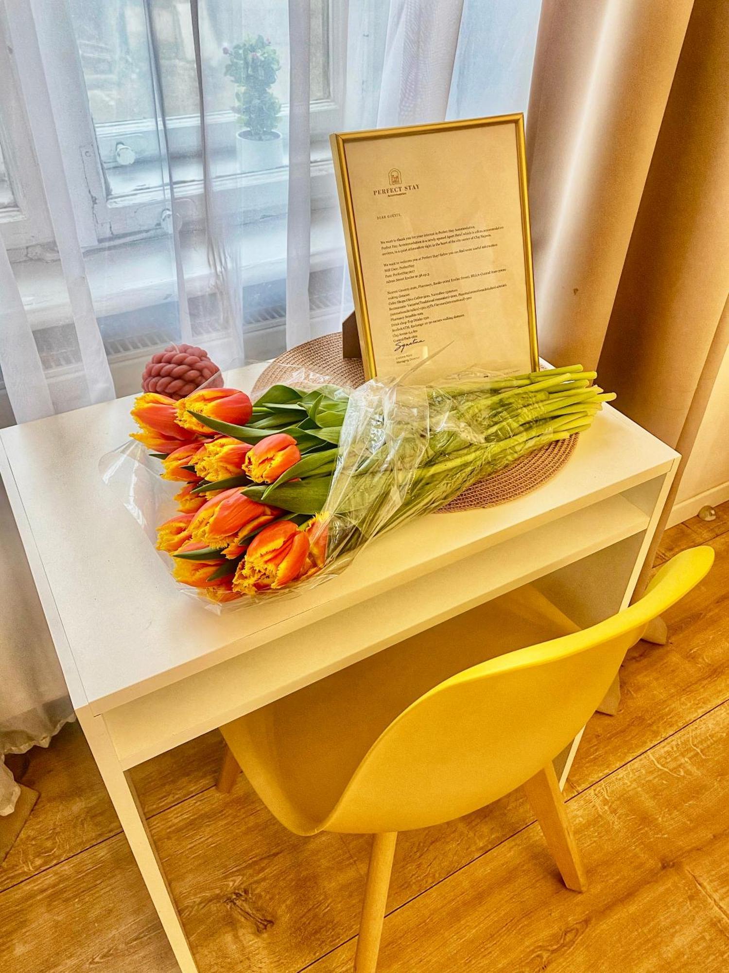 Perfect Stay Kaloşvar Dış mekan fotoğraf